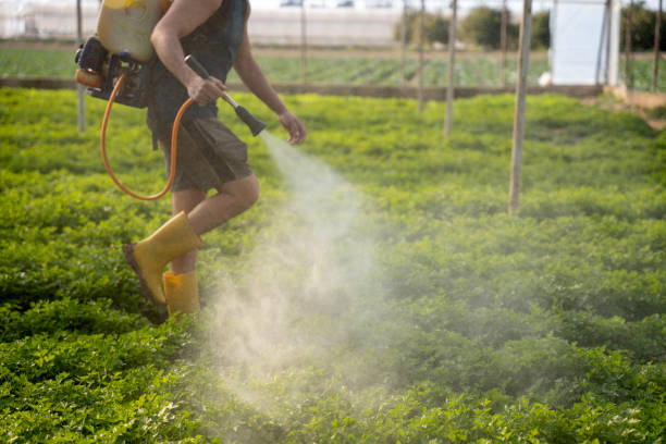 Best Pest Control Near Me  in Pompton Plains, NJ