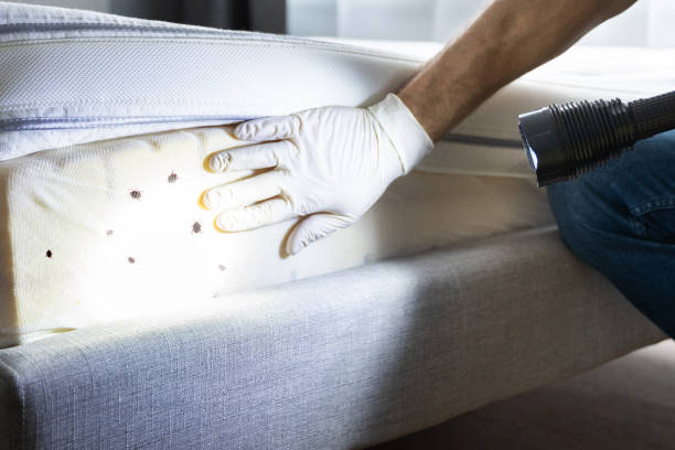 Pest Prevention Services in Pompton Plains, NJ