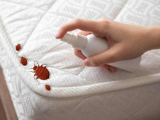 Best Commercial Pest Control Services  in Pompton Plains, NJ