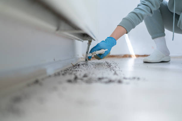 Best Best Pest Control Companies  in Pompton Plains, NJ